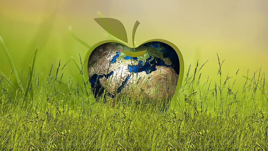 bærekraft, energi, eple, kloden, gress, eng, blader, fornybar, jord, verden, menneskeheten