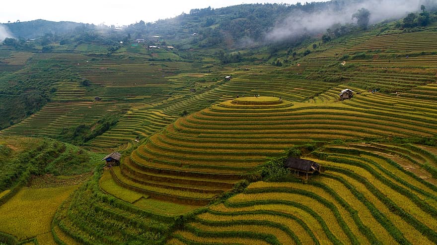 Agriculture, Countryside, Terraces, Nature, Field, Plantation, Environment