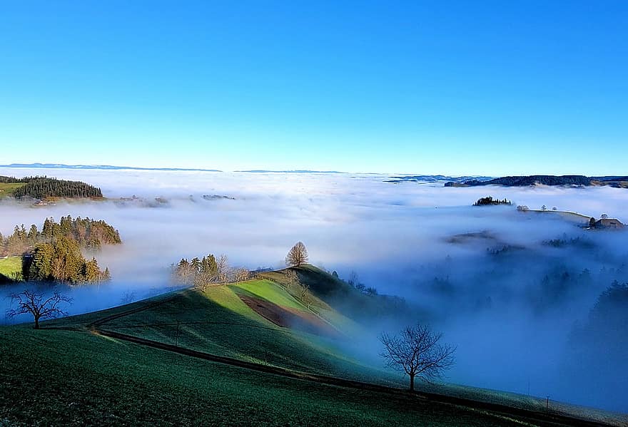 Fog, Hill, Nature, Meadow, Trees, Outdoors, rural scene, landscape, tree, mountain, farm