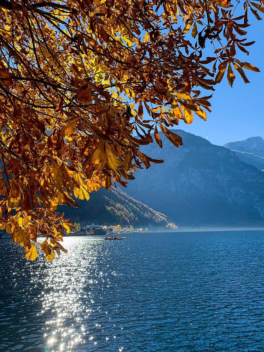 езеро, Халщат, Австрия, есен, вода, дърво, планина, син, пейзаж, гора, лято