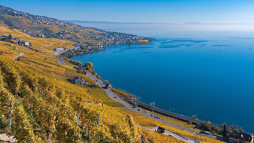 lavaux, Ženevos ežeras, Šveicarija, vaud, pobūdį, kraštovaizdį, kaimo, lauke, keliauti, žvalgymas, vynuogininkystė
