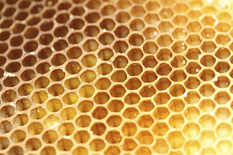 favo de mel, hexágono, forma, textura, amarelo, querida, abelha, cera de abelha, padronizar, fechar-se, célula