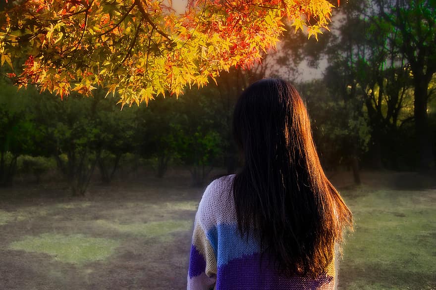 Woman, Fall, Outdoors, Back, Girl, Autumn, women, tree, one person, adult, forest