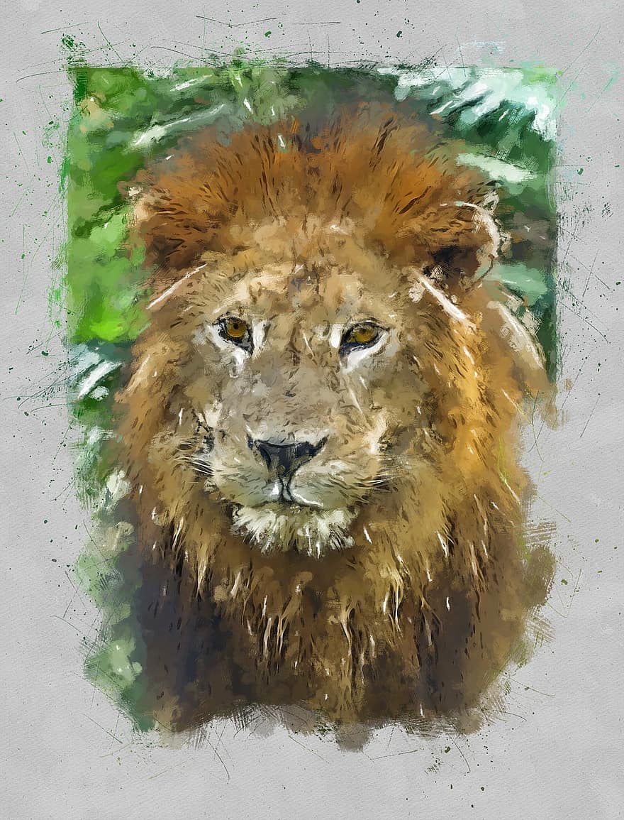 ライオン、動物、ネコ、猫科、哺乳類、野生動物、肖像画、危険な、捕食者、ペインティング、創造性