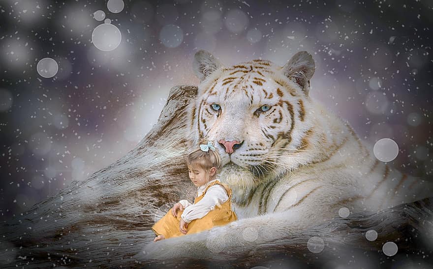 Tygrys, mała dziewczynka, drapieżnik, śnieg, protektor, Śnieżny Tygrys, biały Tygrys, bokeh, Fantazja, cyfrowe tło