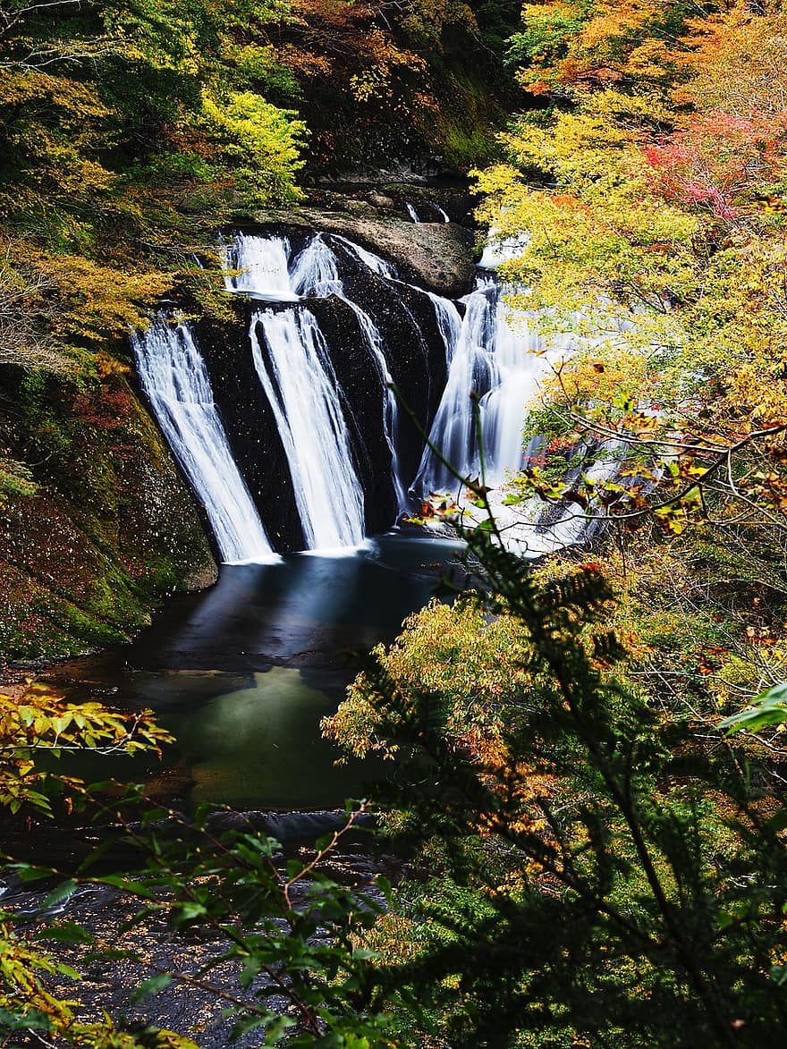 Waterfall, Autumn, Nature, Season, Fall, Outdoors, Woods, forest, leaf, tree, landscape