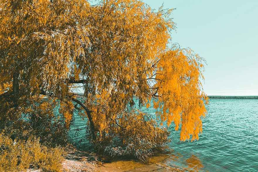 湖、秋、ロシア、自然