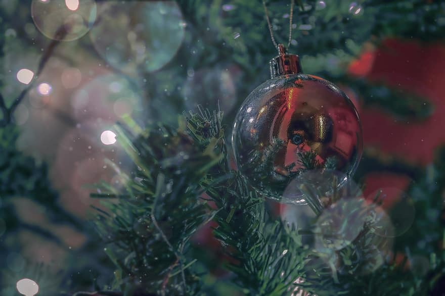 Christmas, Tree, Bauble, Bokeh, Christmas Tree, Christmas Ball, Christmas Bauble, Christmas Decoration, Decoration, Ornament, Christmas Ornament