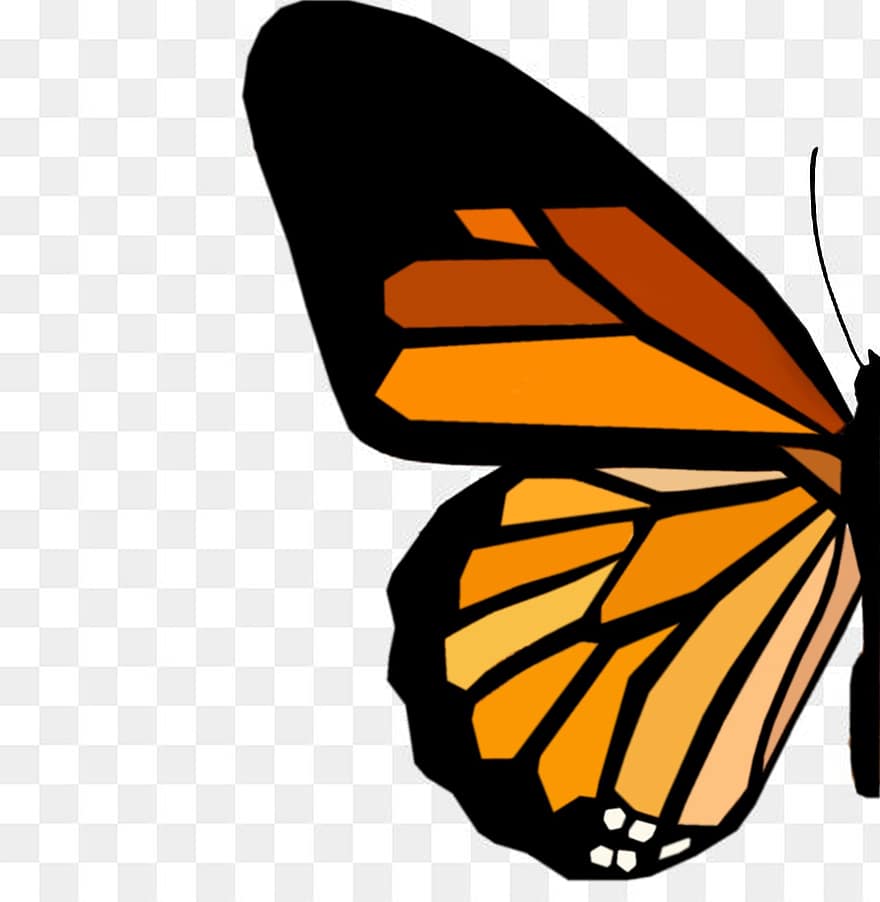 метелик, метелик монарх, крило, візерунок, вітражне скло, комаха, летить, ілюстрації, жовтий, вектор, крило тварин