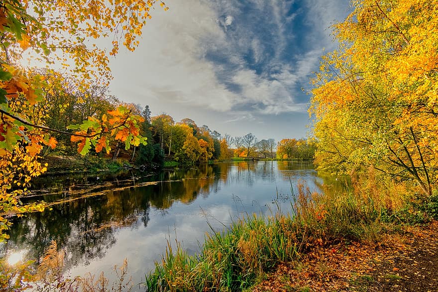 ezers, rudenī, debesis, rudens ezers, Yorkshire, rudens krāsas, kritums, lapas, dzeltens, zaļa, koks