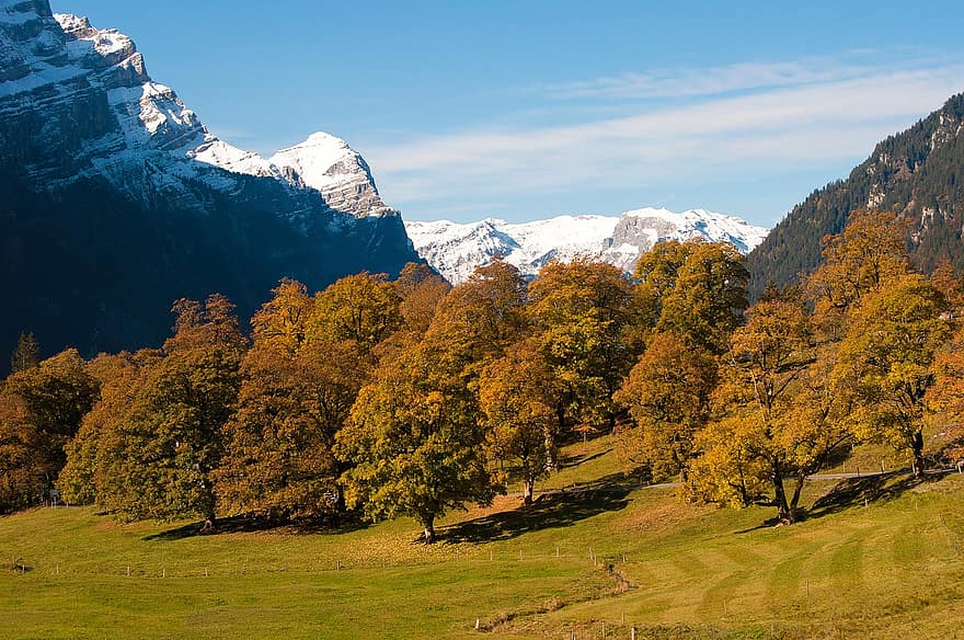 Trees, Fields, Pastures, Meadows, Mountains, Alps, Alpine, Dolomites, Snow-capped Mountains, Landscape, Autumn