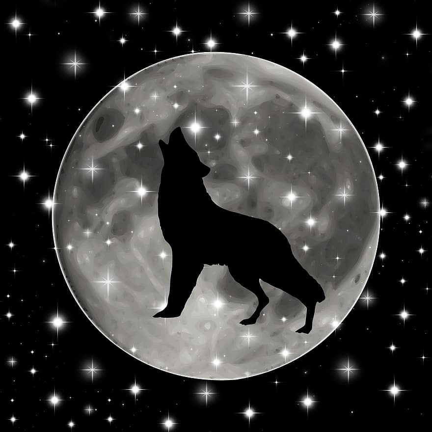หมาป่า, ภาพเงา, ดวงจันทร์, สัตว์, กลางคืน, เห่าหอน, ธรรมชาติ