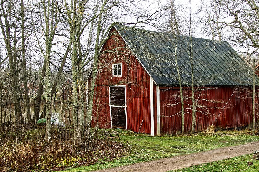 casa, cabana, abandonado, arvores, lago, outono, construção, velho, Casa sueca, casa de madeira, arquitetura