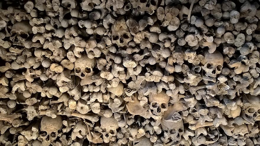 huesos, esqueleto, cráneo, muerte