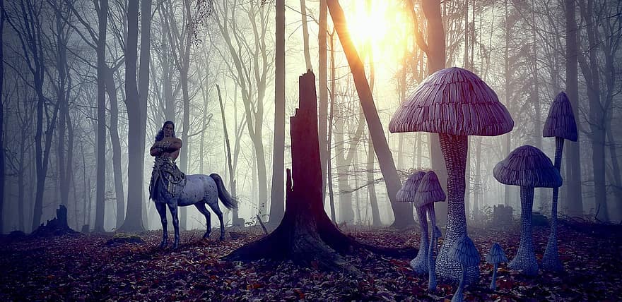 фантастика, лес, деревья, природа, таинственный, мистический, магия, грибы, мечта, сюрреалистичный, сказки
