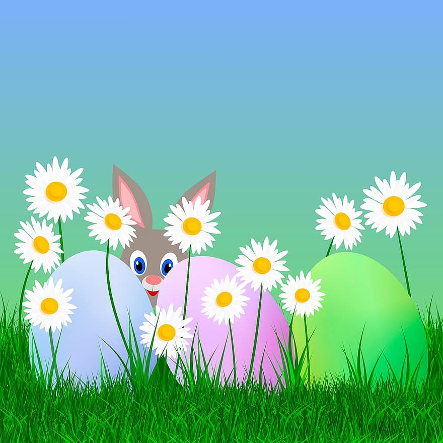 Pasqua, conill de Pasqua, ous, Els ous de colors, margarides, herba