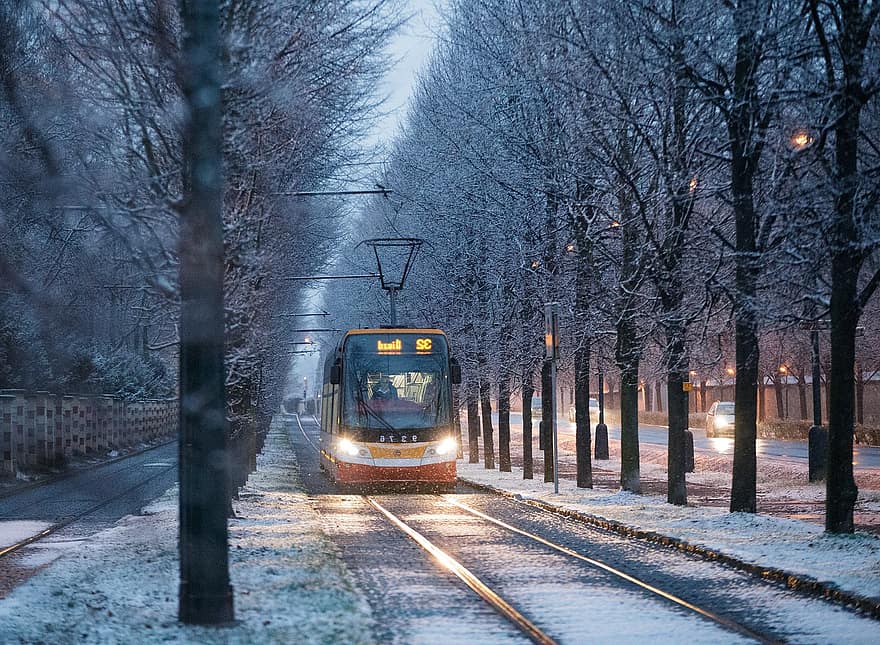 трамвай, залізниця, сніг, дерева, туман, залізничний, Трамвайні колії, транспорт, транспортування, місто, міський