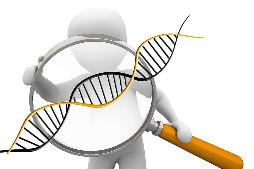ácido desoxirribonucleico, dns, genética, símbolo, biología, investigación, ciencia, cromosoma, espiral