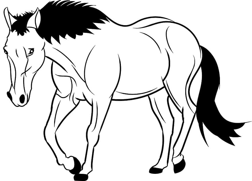 Garis Besar Kuda, hewan, liar, garis besar, kuda, simbol, ikon, logo, alam, tanah pertanian, putih