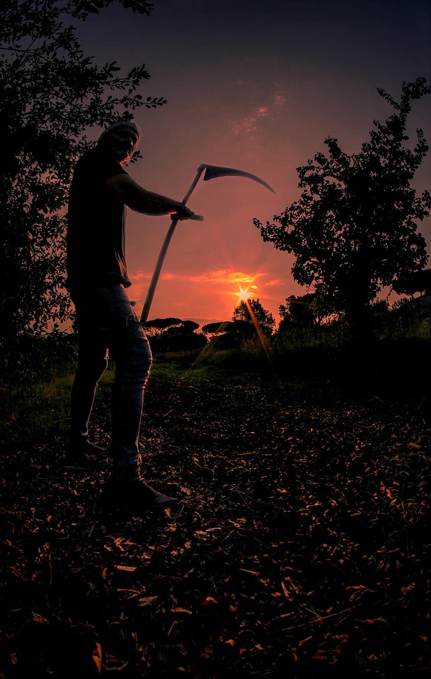 Scythe, Campaign, Farmer, Wheat, Field, Agriculture, Mow, Collected, Nature, Tractor, Grass