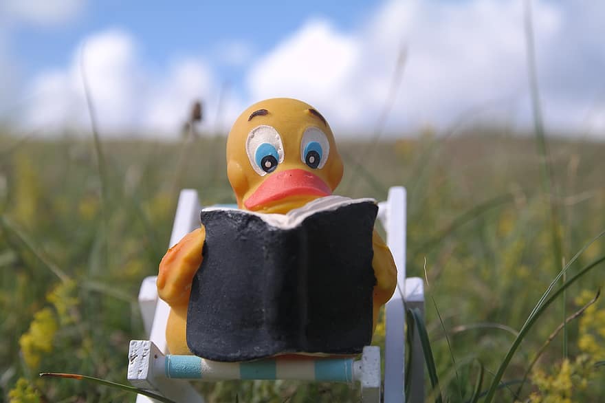 Read, Quietscheente, Duck, Deck Chair, Book, Meadow, Flowers, Flower Meadow, Relax, Chill Out, Vacations