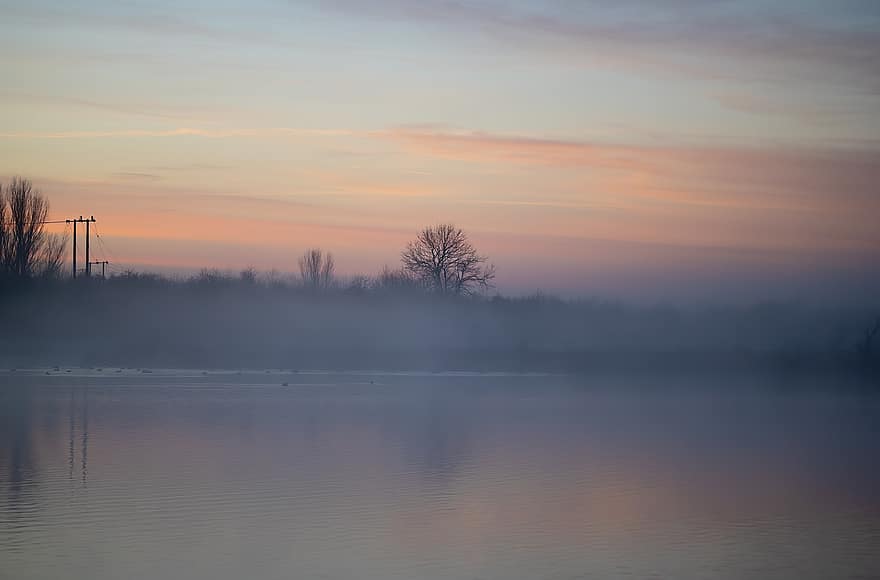озеро, туман, вранці, природи, схід сонця, світанок, дерева, очерету, води, туманний, рефлексія