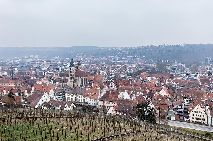 град, Германия, изглед от въздуха, Esslingen, лозя, панорама