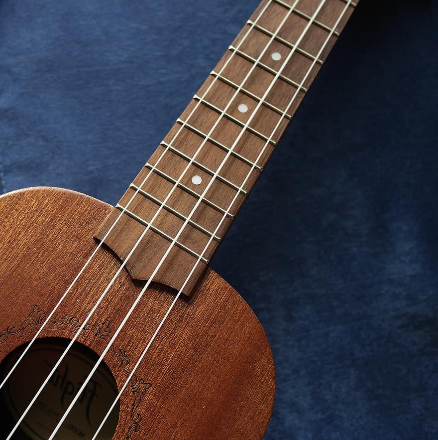 ukulele, gitaar, draad, instrument, musical, hawaiiaans, hout, gitarist, muziek-