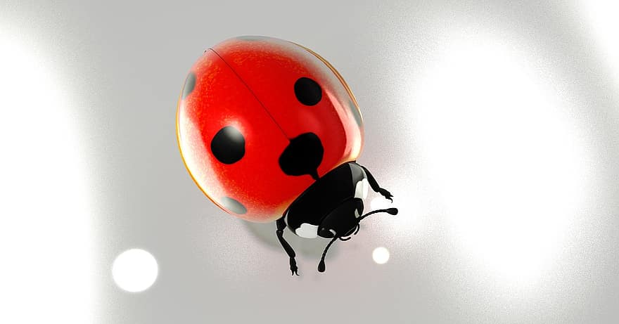 flaks, Lucky ladybug, 2017, lykke til, marihøne, bille, heldig sjarm, natur, insekt, 3d, gjengivelse