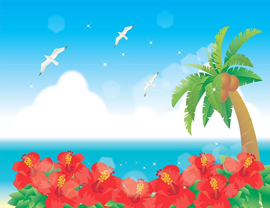 해변 배경, 하와이, 히비스커스, 코코넛 나무, 갈매기, 의지, 여름, 집 밖의, 하늘, 연안, 태양