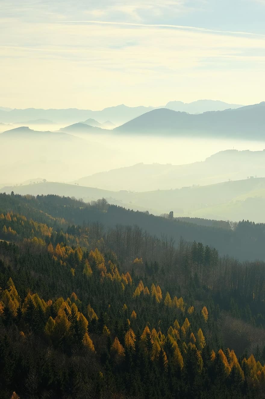 Příroda, mlha, hory, les, stromy, podzim, sezóna, strom, krajina, venkovské scény, žlutá