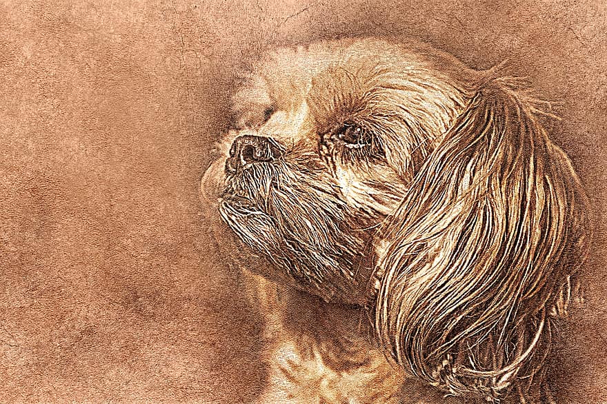 犬、ペット、アート、抽象、ビンテージ、動物、子犬、芸術的、設計、肖像画、デジタルアート