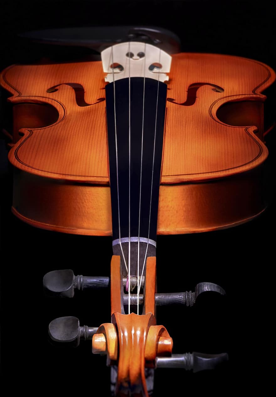 música, instrument, concert, violinista, orquestra, clàssic, melodia, violí, artista, jazz, partitures