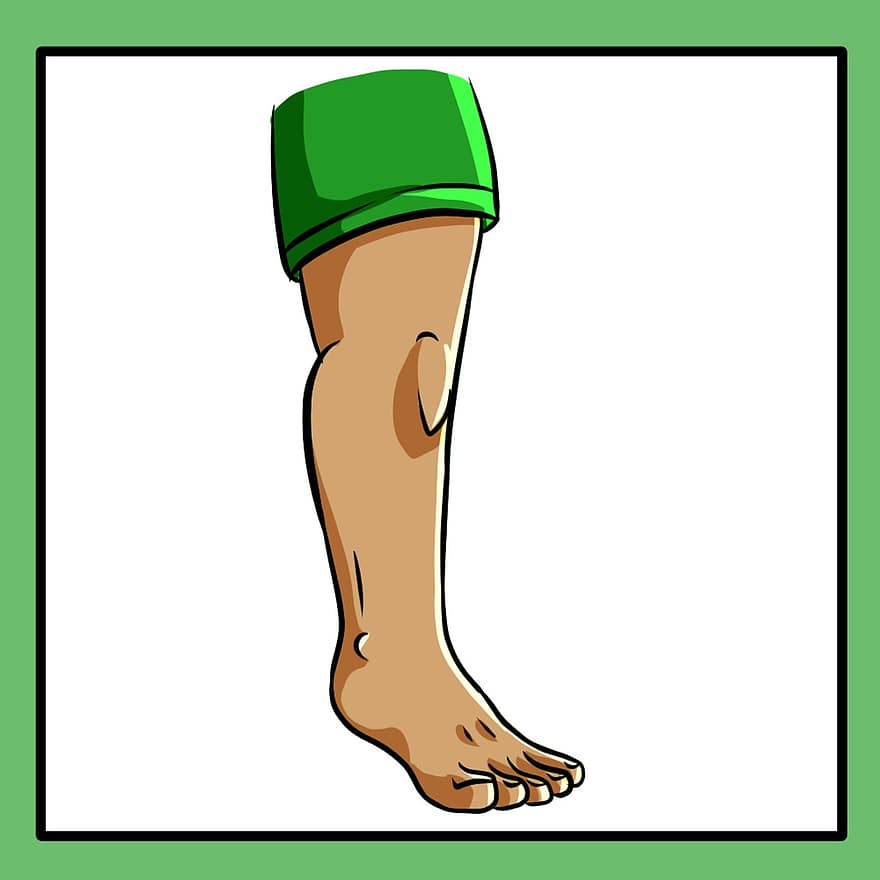gamba, piede, parti del corpo, Corpo del piede, persona, design