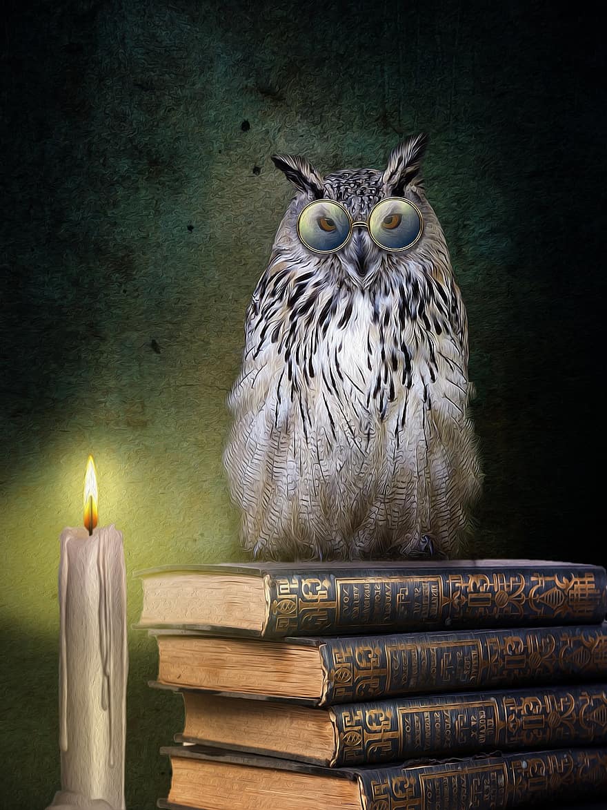 knih, sova, vzdělání, znalost, moudrost, brýle, svíčka, účtovat, fantazie