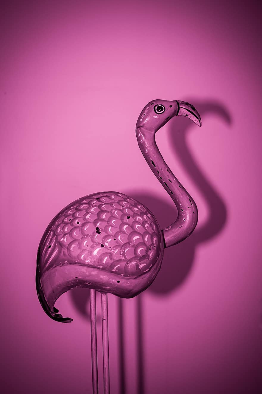 flamingo, vogel, standbeeld, schaduw, figuur, dier, waadvogel, watervogel, dieren in het wild, roze, detailopname
