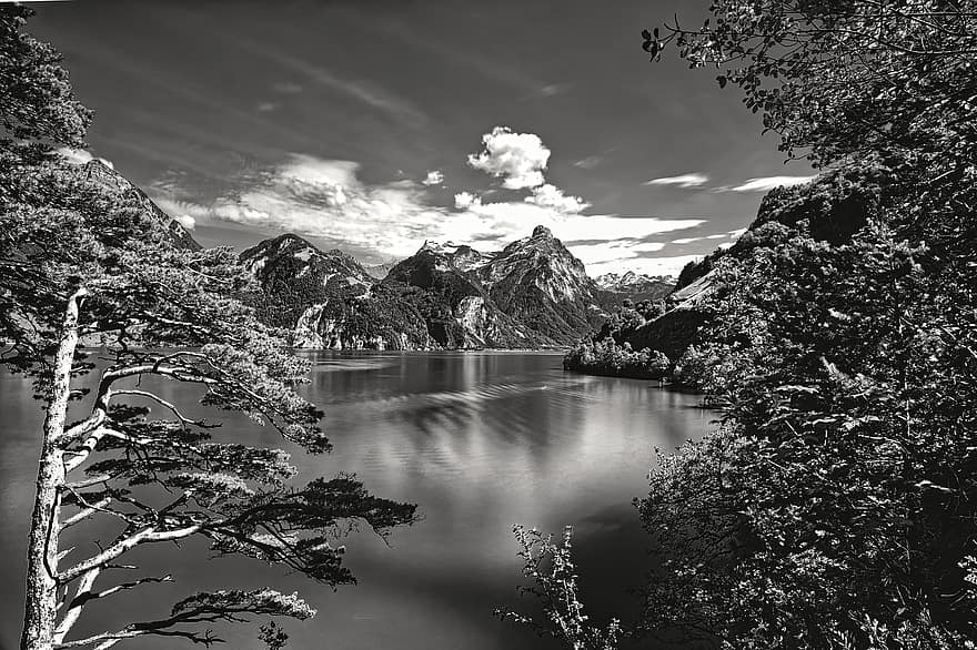 Mountains, Lake Lucerne Region, Urnersee, Switzerland, Monochrome, Nature, Dynamic, Alps, forest, water, mountain