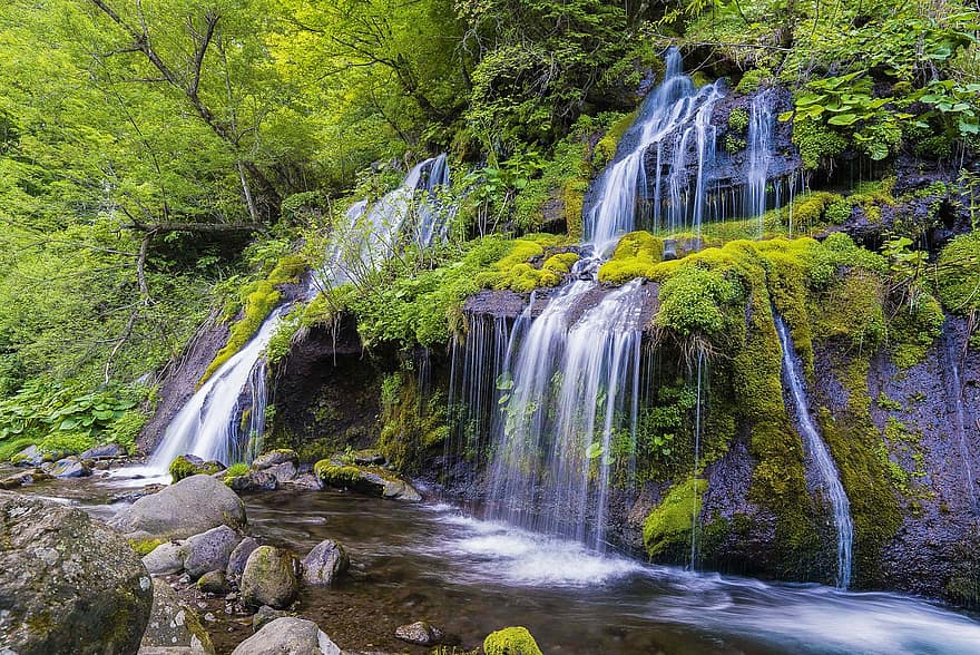 thác nước, rừng, Thác Soryu, Doryunotaki, Yatasugatake, Thiên nhiên, ngã, con sông, suối, đá, rêu