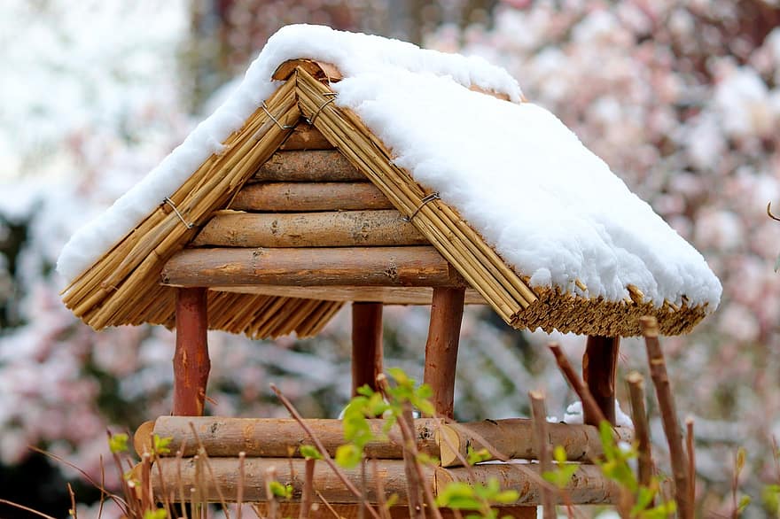 dom ptaków, śnieg, zimowy, drewno, dach, miejsce do karmienia, karmnik dla ptaków, ochrona ptaków, drzewo, zbliżenie, pora roku