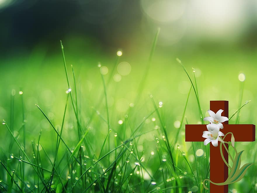 korsa, Jesus, blommor, gräs, symbol