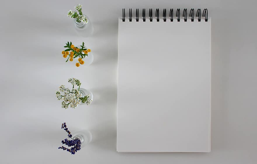 bloc-notes, papier, fleurs, vase à fleurs, carnet, écrire, espace de copie