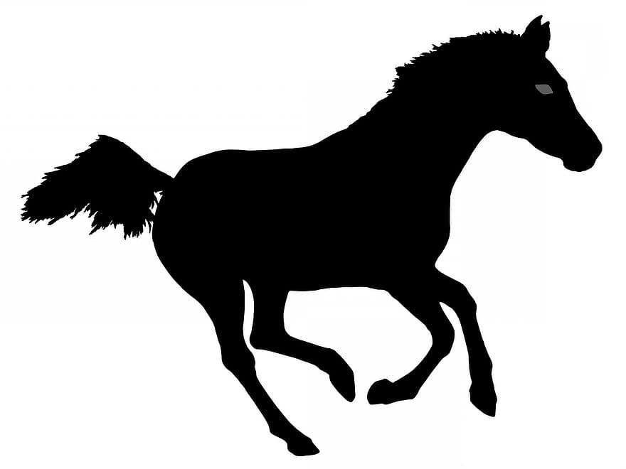 cheval, cheval courant, silhouette de cheval, silhouette, contour, noir, blanc, isolé