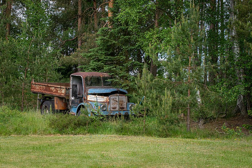 un camion, ferraille, forêt, vieux camion, véhicule, couchette, historique, non restauré, dégénéré, scène rurale, arbre