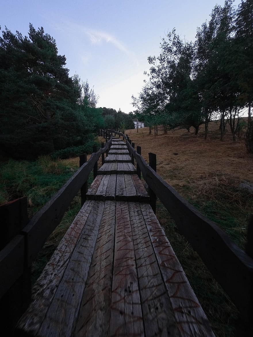 Bridge, Nature, Path, Wood, Wooden, Walkway, Forest, Trees, Travel