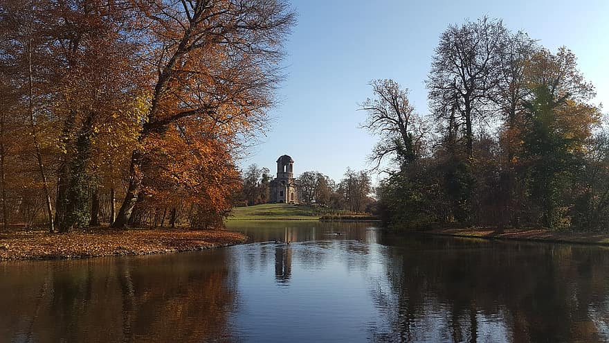 schwetzingen, parc del castell, llac, caure, tardor, arbres, aigua, reflexió, castell, històric, ruïnes