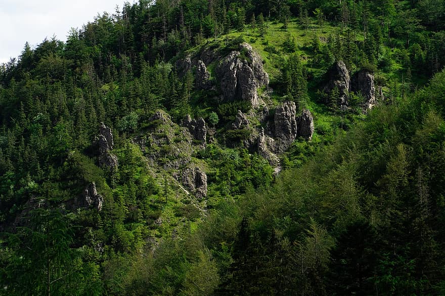 vuoret, maasto, taivas, luonto, Carpathian, vuorenkylki, vihreä