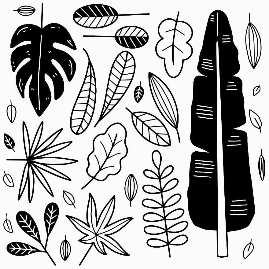 lehdet, kasvit, doodles, piirustukset, käsin piirretty, lehvistö, pudonneet lehdet, luonto, digitaalinen piirustus