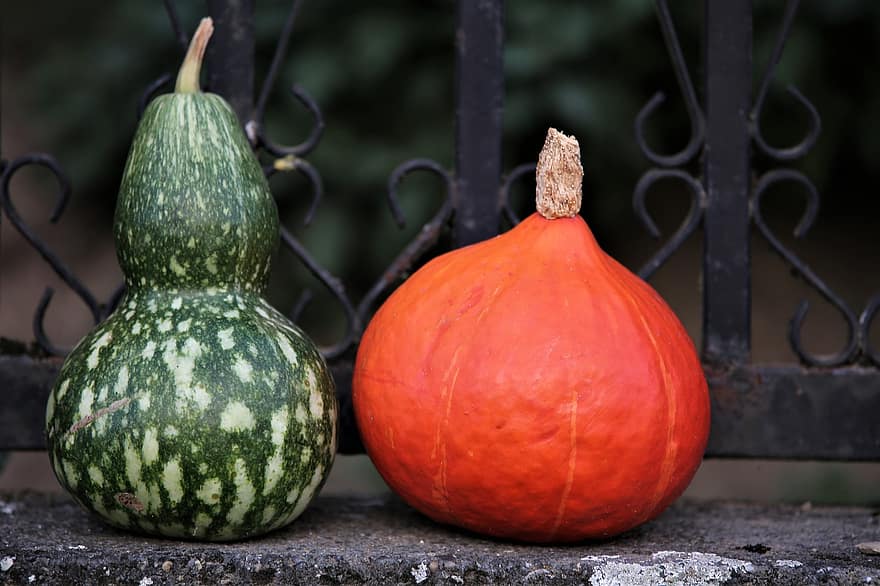 Pumpkins, Squash, Vegetables, Gourds, Colorful, Autumn Harvest, Autumn Season, Food, Harvest, Produce, Organic