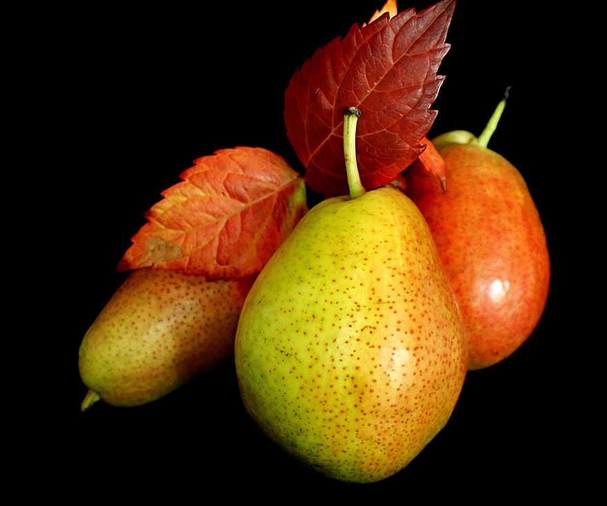buah, buah pir, sehat, makanan, nutrisi, diet, musim gugur