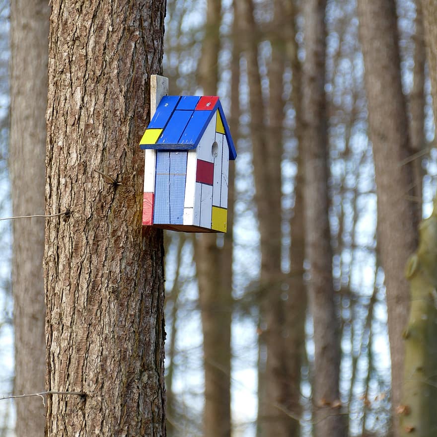 Birdhouse, Trees, Forest, tree, wood, animal nest, branch, rural scene, tree trunk, season, winter